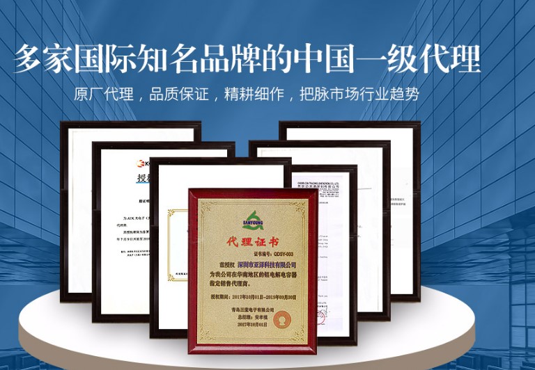 鋁電解電容器 鋁電解電容器